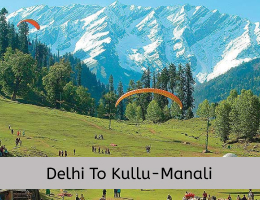Delhi to Manali